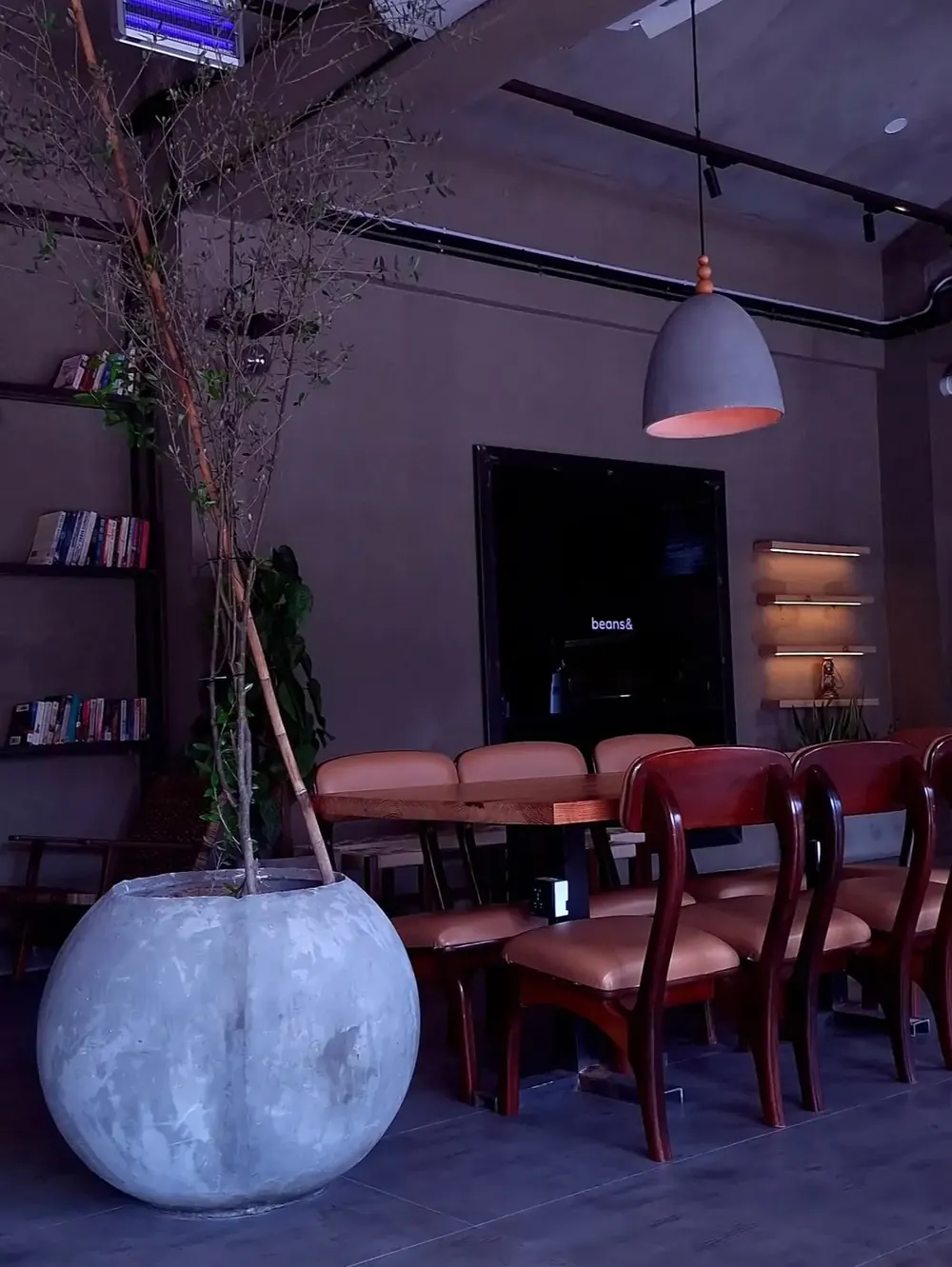 Inside beans&: pendant lamps, a concrete planter and a shelf of paperbacks